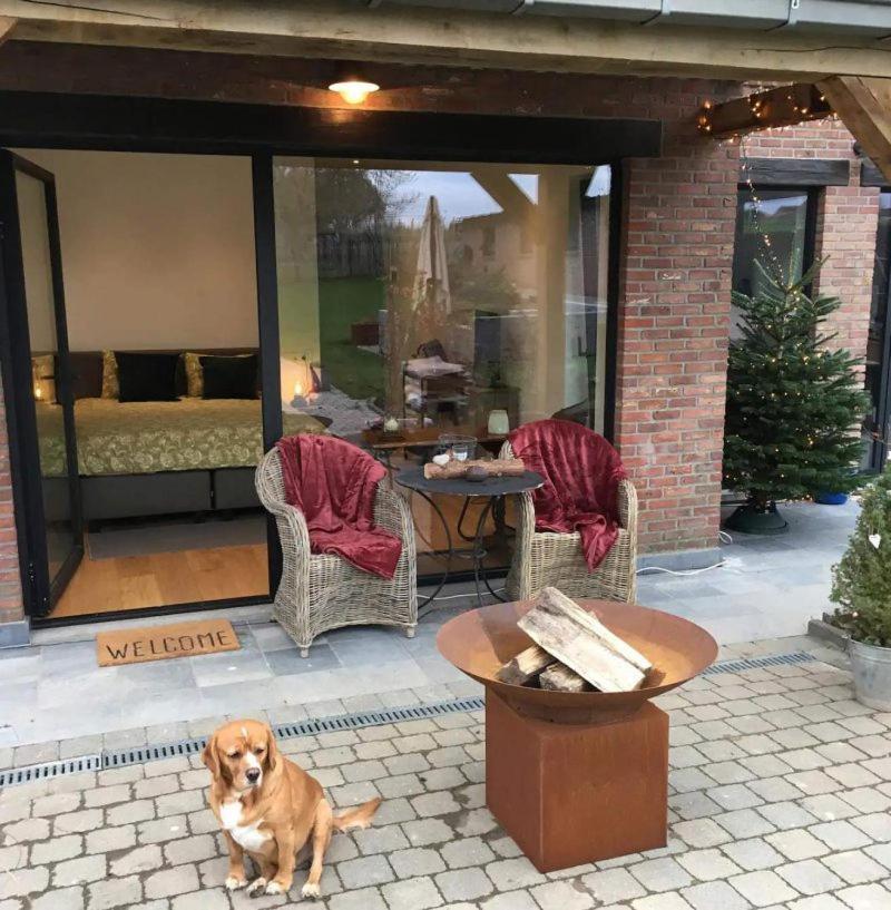 B&B Den Biesthoek 赫林贝尔亨 外观 照片